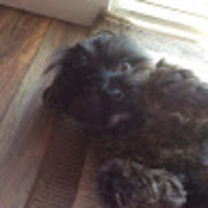 Meet your Posher, The life of riley